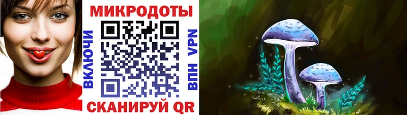 Галлюциногенные грибы Psilocybe  Купить закладки  Красково 